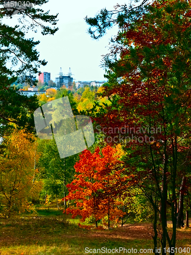 Image of Urban autumn