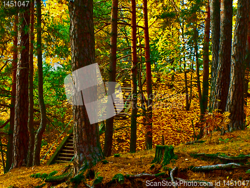 Image of Autumn stairs