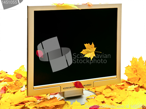 Image of autumn monitor