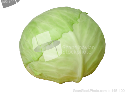 Image of cabbage