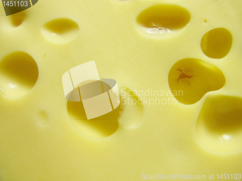 Image of cheese