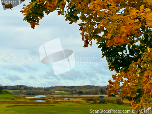 Image of autumn in rural place