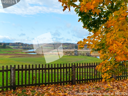 Image of autumn in rural place