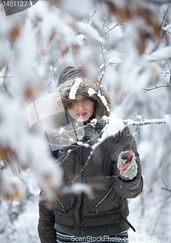 Image of Winter Fairy