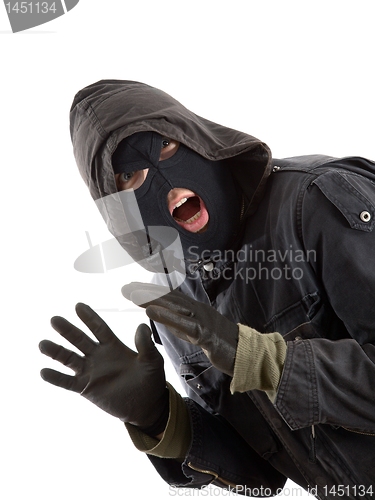 Image of Burglar