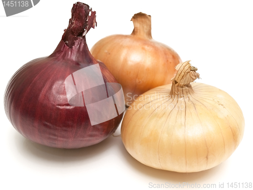 Image of onion