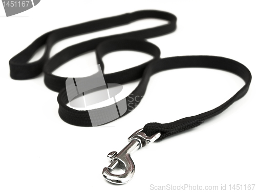 Image of dog-lead