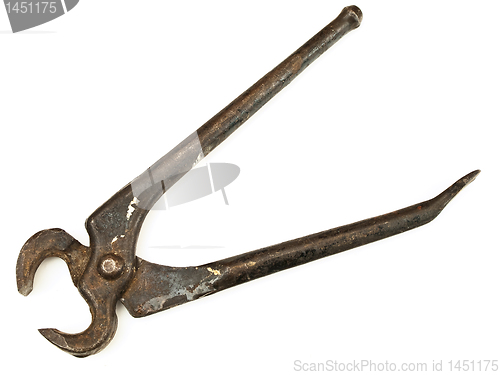 Image of a pair of nippers