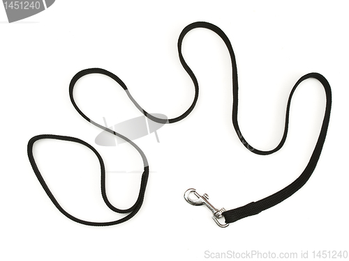 Image of dog-lead