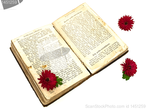 Image of old book and flowers