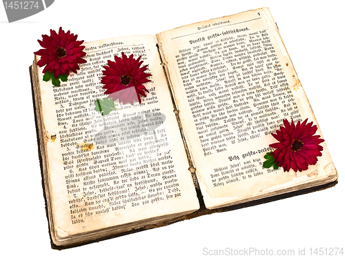 Image of Old book with flowers