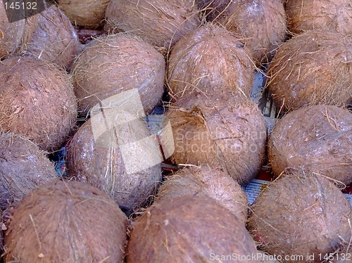 Image of Coconuts