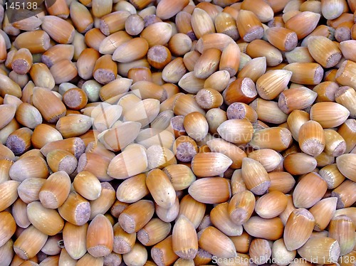 Image of Hazelnuts in a nutshell