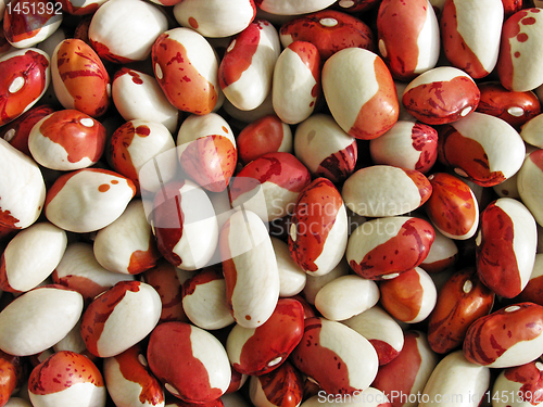 Image of kidney beans 