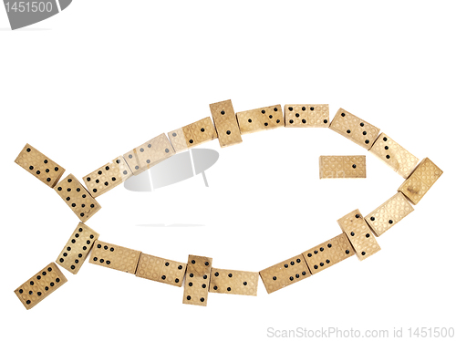 Image of domino fish