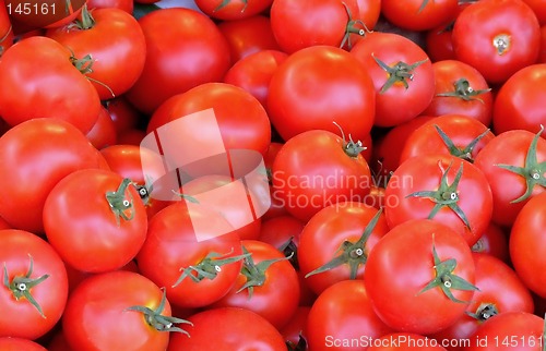 Image of Tomatoes