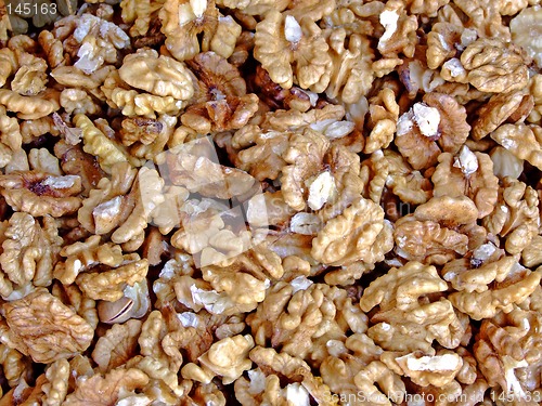 Image of Walnuts