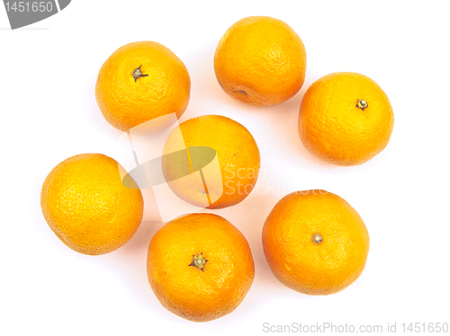 Image of  orange mandarines