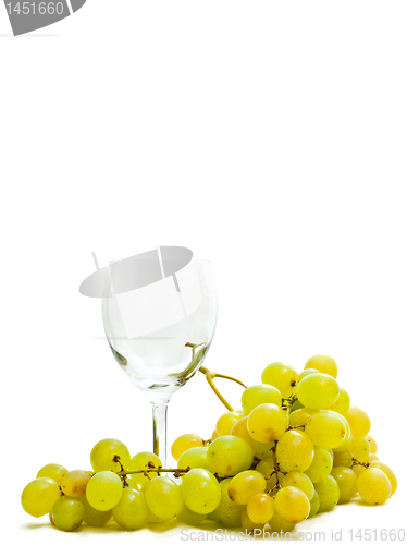 Image of wineglass and grape