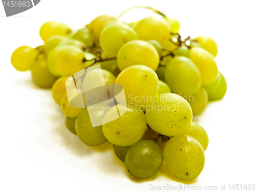 Image of green grape vine