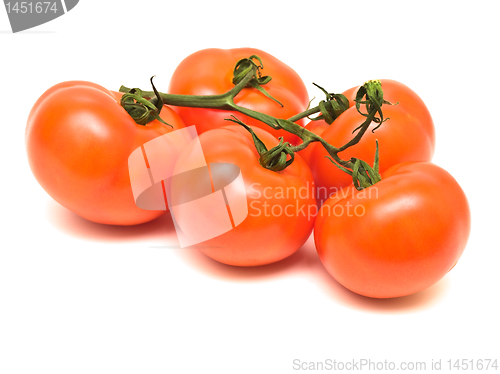 Image of tomatoes