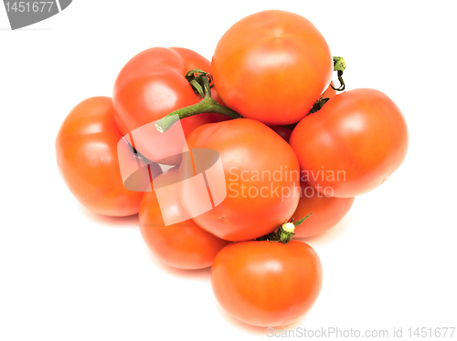 Image of tomatoes