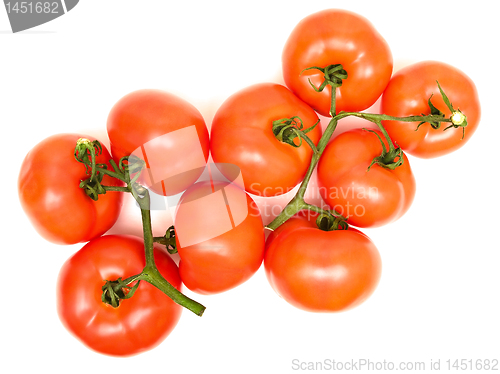 Image of tomatoes