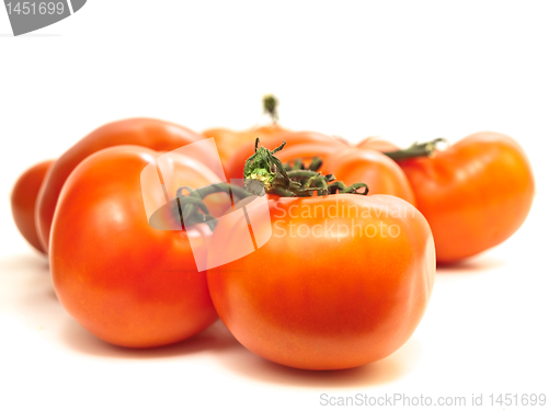 Image of tomatoes