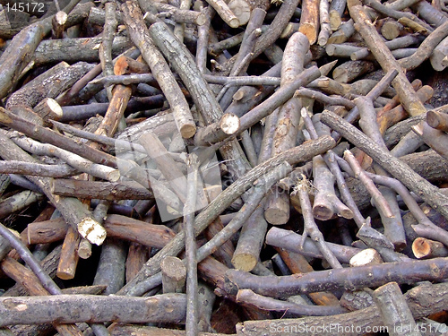 Image of Pile of fire wood