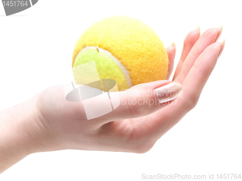 Image of tennis ball in hand