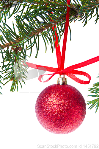 Image of red christmas ball hanging from tree