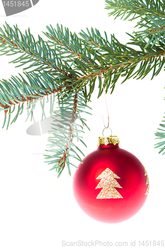 Image of red christmas ball on branch