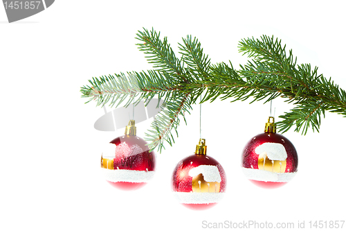 Image of red christmas ball on branch