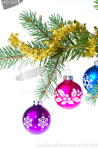 Image of christmas balls on spruce branch