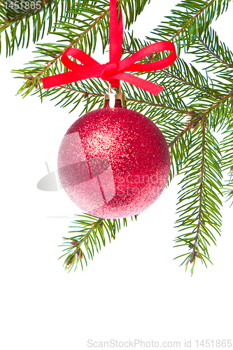 Image of red christmas ball hanging from tree