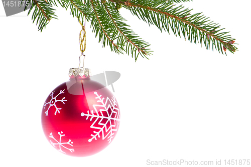 Image of red ball hanging from spruce christmas tree