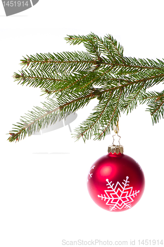 Image of red ball hanging from spruce christmas tree