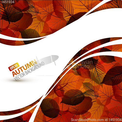 Image of Colorful vector autumn background 