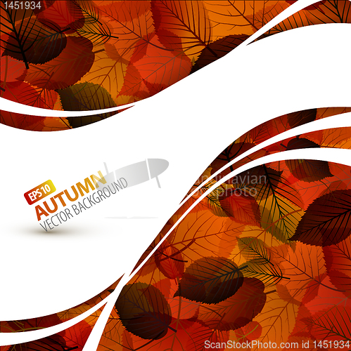 Image of Colorful vector autumn background 