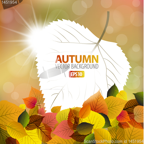 Image of Vector autumn background with a card