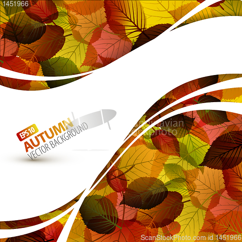 Image of Colorful vector autumn background 