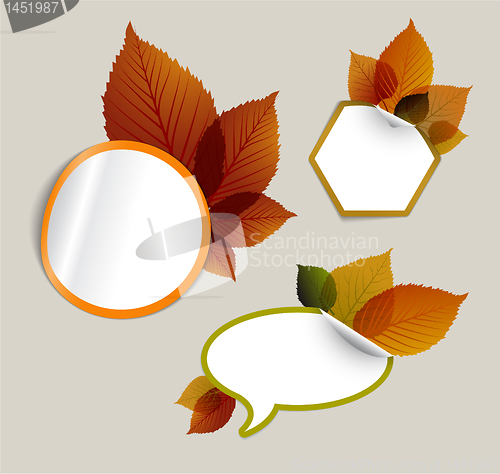 Image of Set of vector autumn discount tickets, labels, stamps...