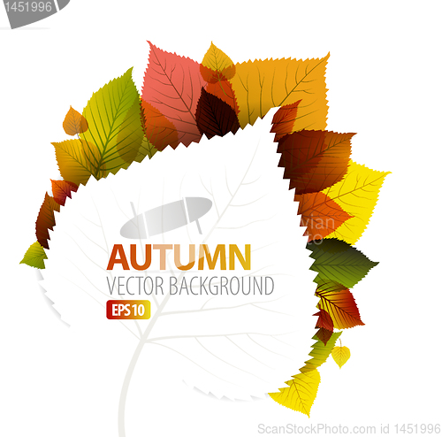 Image of Autumn abstract floral background 