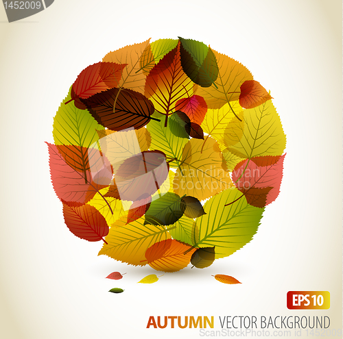 Image of Autumn abstract floral background 