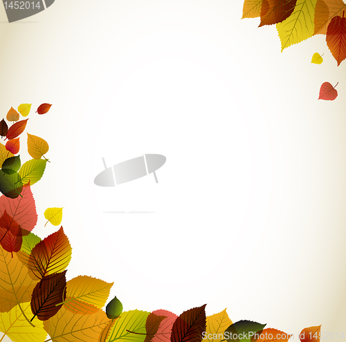 Image of Autumn abstract floral background 