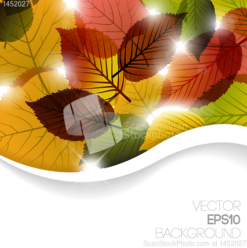 Image of Autumn abstract floral background 