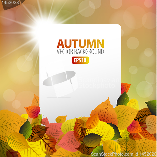 Image of Vector autumn background with white card
