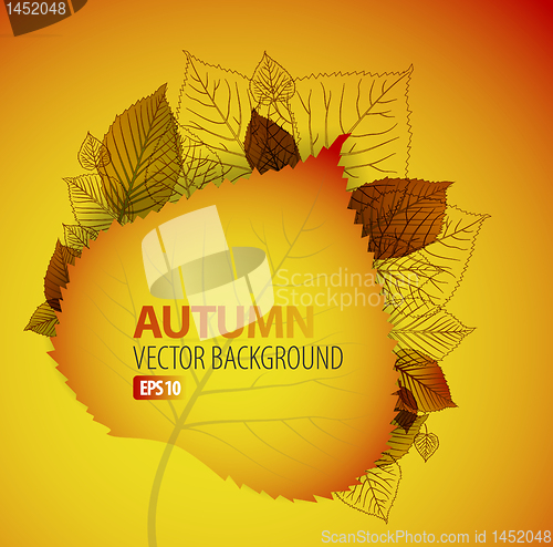 Image of Autumn abstract floral background 