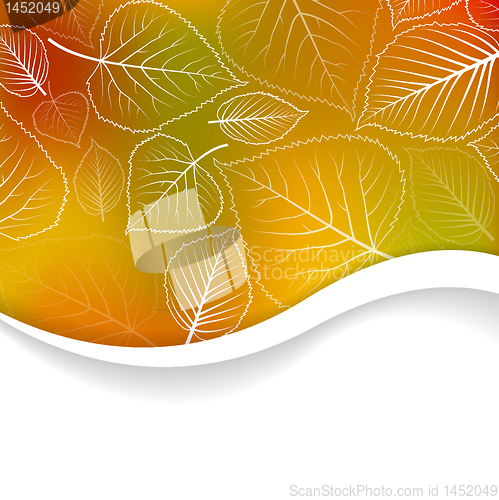 Image of Vector Autumn abstract background 