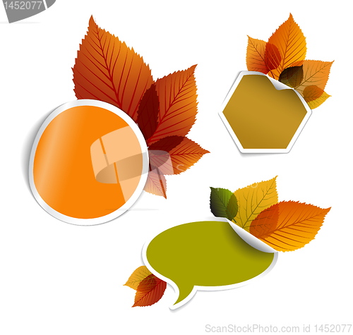Image of Set of vector autumn discount tickets, labels, stamps, stickers